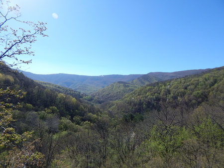 morning in the mountainsの写真素材