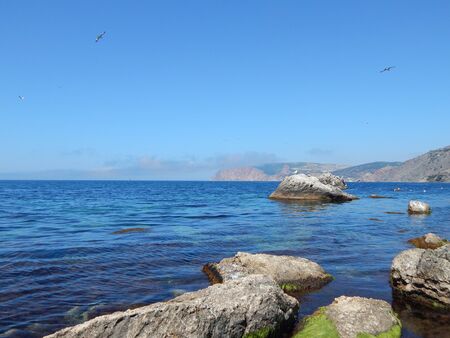 Landscapeの写真素材