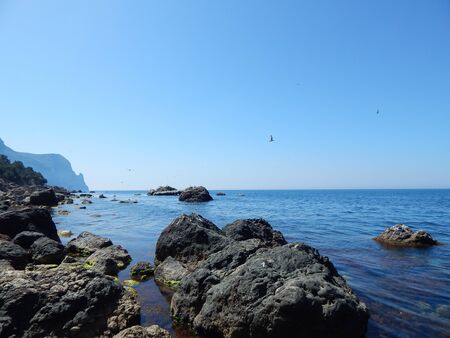 seaの写真素材