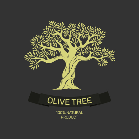 Hand-drawn graphic olive treeのイラスト素材