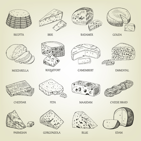 Sketch of different cheeses icons. Vector illustration with realistic outline dairy products set. Curds collection used for logo design, recipe book, advertising cheese or restaurant menu.のイラスト素材