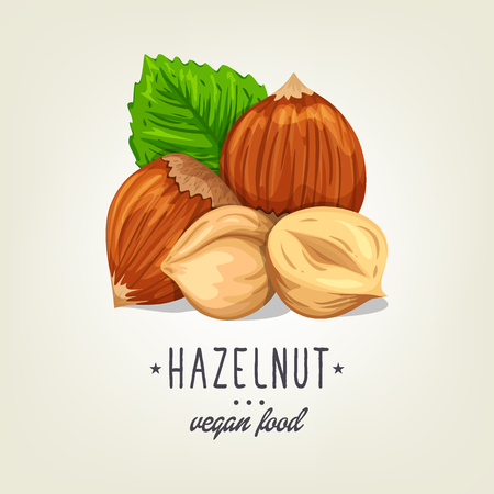 Colourful hazelnut icon isolated on background. Vector sketch of realistic nut with leaves and seeds. Drawn vegan plant good for recipe book, booklet, card, menu or banner design.のイラスト素材