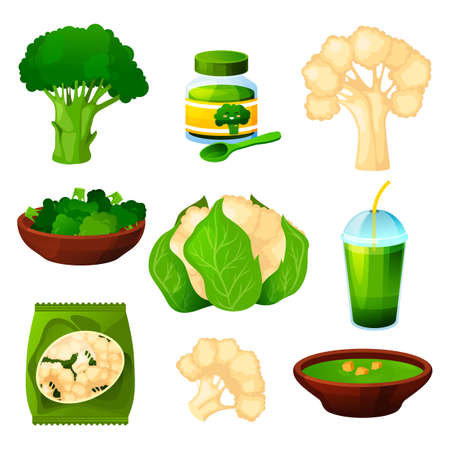 Set of cauliflower and broccoli, vegetable productのイラスト素材