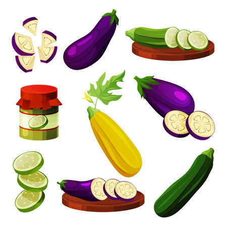 Set of eggplant and zucchini, vegetable productsのイラスト素材