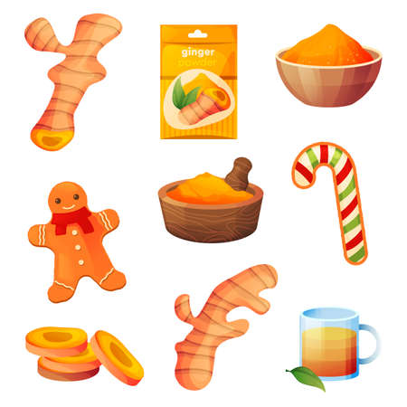 Ginger food products, spice and flavoring dessertsのイラスト素材