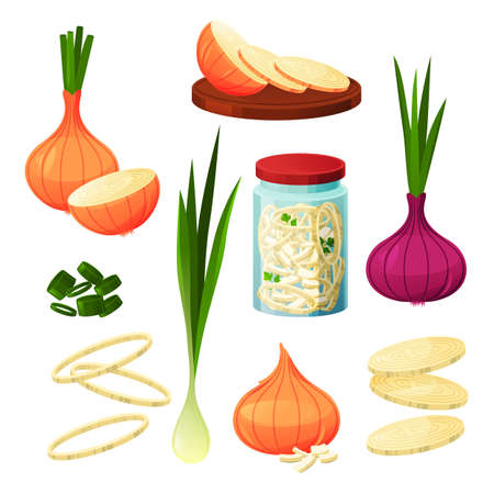 Onion food vegetable products, cooking and eatingのイラスト素材