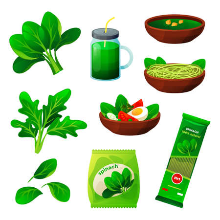 Set of spinach food, flat vegetable productsのイラスト素材