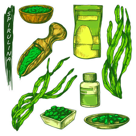 Sketch of spirulina seaweed icons. Vetor elements for dietary supplement and healthy food nutrition. Dried algae powder, vitamin pills or capsule, fresh plant leaves. Health and treatment themeのイラスト素材