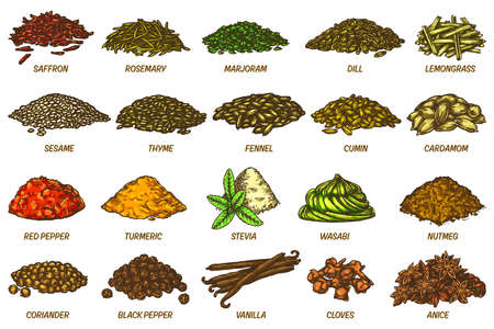 Spices and herbs sketch set. Vector line icons of dried condiment or seasoning. Aroma cooking ingredients or flavoring. Hand drawn food supplement elements. Culinary and cuisine themeのイラスト素材