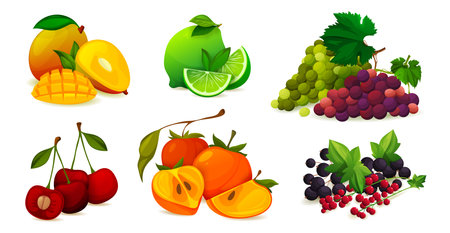 Combining ripe fruits or vitamin vector setのイラスト素材