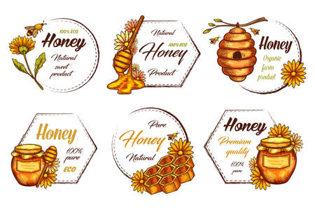Decorative labels for honey product. Vintage frameのイラスト素材