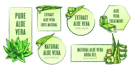 Hand drawn aloe vera labels. Vintage frames with aloe plant elements for beauty or medical products. Natural extract, component or igredient. Organic aloe gel, oil or juce for skincare or tretment.のイラスト素材
