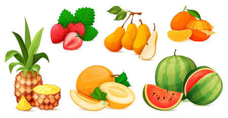 Ripe fruit composition or composing. Vitamin vector set of pineapple, strawberry, pear, tangerine, melon and watermelon. Whole and sliced juicy fruits. Healthy nutrition.のイラスト素材