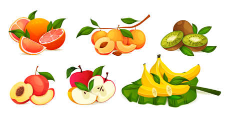 Fruit composition or composing. Set of combining fresh fruits, whole and sliced. Grapefruit, apricot, kiwi, peach, apple and banana collection. Summer juicy dessert, vitamin product, sweet ingredient.のイラスト素材