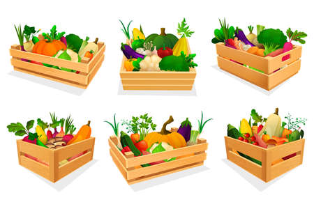 Mixed vegetable assortment in wooden boxes, setのイラスト素材
