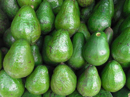 Avocados