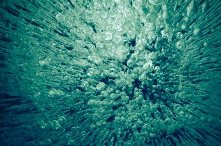Explosion of freshness