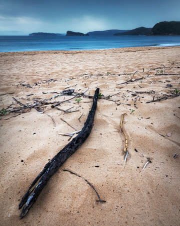 Stick on an empty beachの写真素材