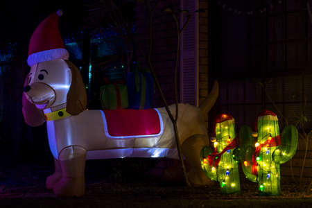 christmas light decorations in the darkの写真素材