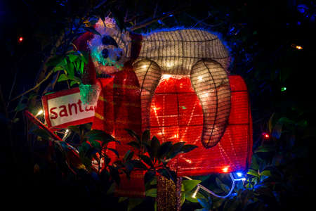 christmas light decorations in the darkの写真素材