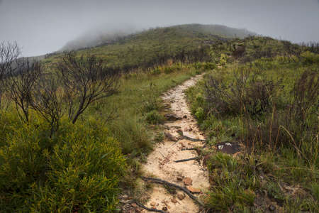 path along the mountain in the fog and mistの写真素材