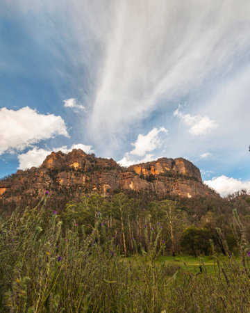 a large green field with a mountain in the backgroundの写真素材