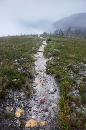 path into the fog on the mountain topの写真素材