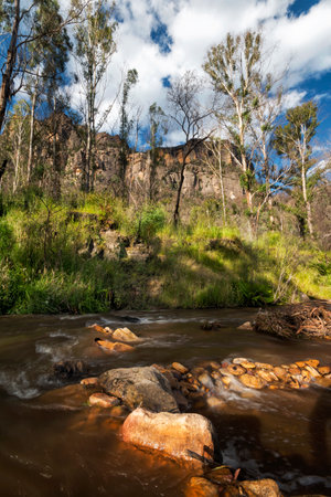 a waterfall with trees on the side of a riverの写真素材