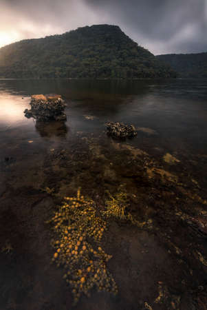 seaweed and rocks in the lake before the mountainの写真素材