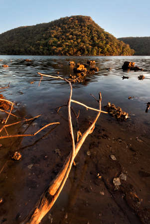 branches looking out to a mountain on the lakeの写真素材
