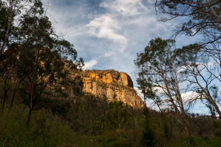 light on mountains behind the treesの写真素材