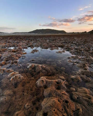 puddle at low tide in lake with a mountain in backgroundの写真素材