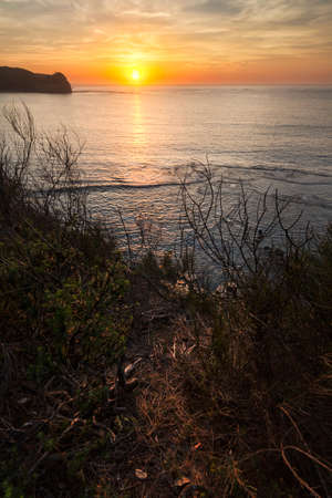 sunrise from behind the bushes along the coastの写真素材