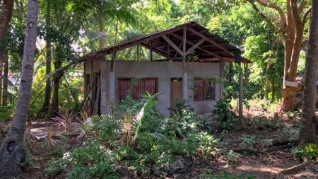 a house with bushes and treesの写真素材