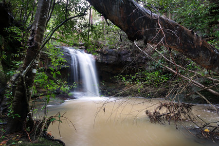 a large waterfall in a forestの写真素材