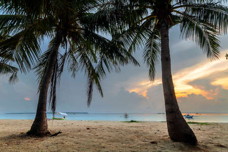 a beach with a palm tree in front of a body of water