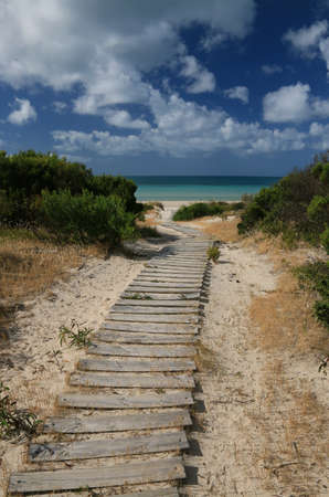 path leading to the oceanの写真素材