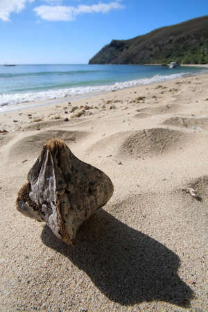 a beach with a mountain in the sandの写真素材