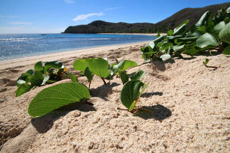a sandy beach next to a body of waterの写真素材