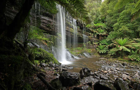 russell falls waterfall in tasmaniaの写真素材