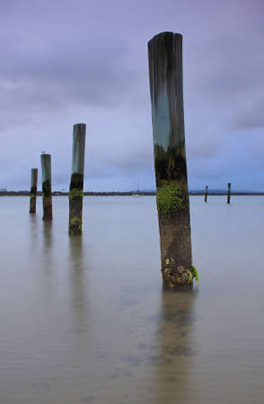 posts in the water on tasmaniaの写真素材