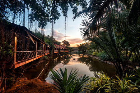 hotel room next to lagoon in jungle settingのeditorial素材
