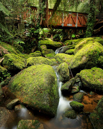 bridge over cascades and mossy rocks near Glenbog in NSWの写真素材