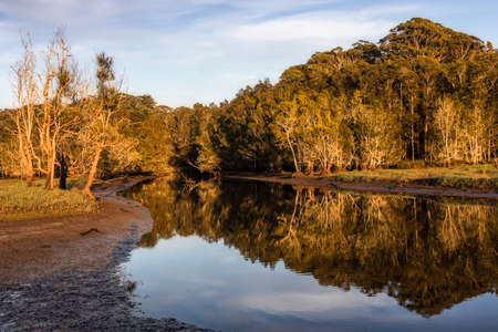 reflections on the water at avoca lagoon on nsw central coastの写真素材
