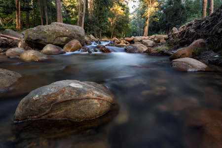 boulders in a flowing creek with light in treesの写真素材
