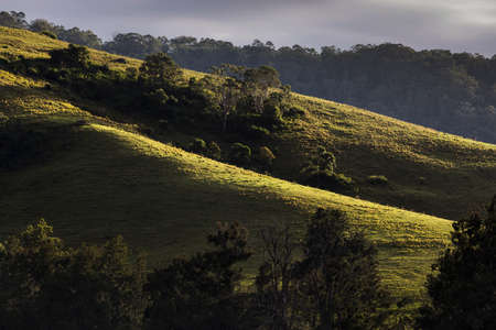 a close up of a hillside next to a treeの写真素材