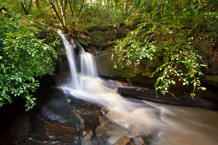 waterfall in the forest on nsw central coastの写真素材