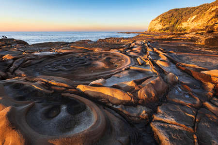 a close up of a rock near the ocean in bouddi national parkの写真素材