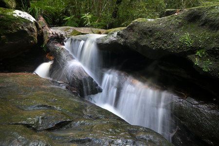 cascades of waterfall falling between rocks in bushlandの写真素材