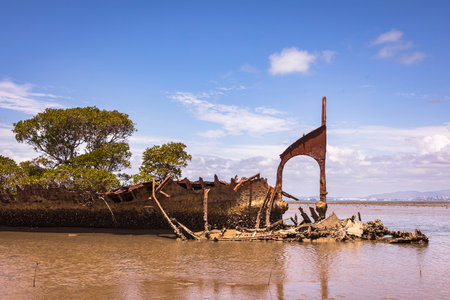 shipwreck on magnetic island with trees in waterの写真素材
